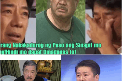 NAKALULUNOS NA TAGPO: ANG LIHIM NA KALAGAYAN NI JIMMY SANTOS NA NAGPANG-LUMO KAY WILLIE REVILLAME—ISANG KUWENTO NG PAGKAKAIBIGAN, PAGSUBOK, AT DI-INAAKALANG PAGBANGON