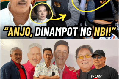 ANJO YLLANA NAGLANTAD NG BOMBA: ‘LIHIM NA BABAE’ NI TITO SOTTO, NAGING KARELASYON DIN UMANO NI VIC SOTTO? TATLONG CO-HOST NG EB, SENTRO NG HINALA!