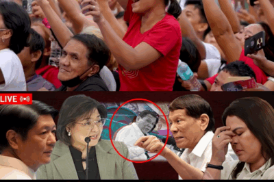 LIHIM NA GINIGIMBAL ANG BANSA! Palasyo, Walang Takot na Ibinunyag ang ‘Tunay na Mukha’ ng Panawagan ni VP Sara sa Galit ng Bayan!