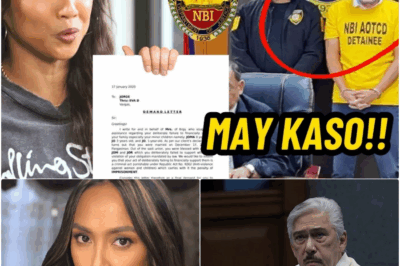 BAKBAKAN SA SENADO?! Rochelle Pangilinan, Tuluyang Nagsampa ng Kaso Laban kay Tito Sotto: Ang Bigat ng Katotohanan sa Likod ng Kapangyarihan at Katahimikan
