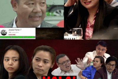 HINDI NA NAKATIIS! CASSANDRA ONG, PUMIRMA NA SA BANK WAIVER; ALICE GUO, NAGMAMAKAAWA ANG ABOGADO NA LUMANTAD NA DAHIL SA PANGANIB!