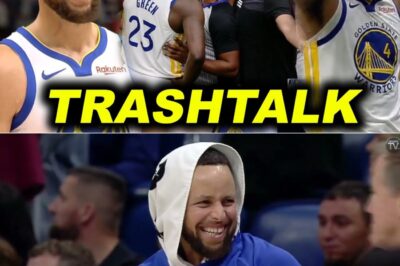 Gulo sa Sideline: Ang Umano’y Pagsalakay ng Fan kay Draymond Green at ang Nakakagulat na Kasiyahan ni Stephen Curry sa Kabila ng Moody Magic
