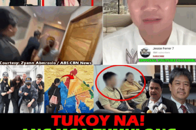 HINDI LANG POGO BIG BOSS! BINISTO: Mga Makapangyarihang Kasosyo sa Syndicate na Nagbayad at Nagpalabas kay Alice Guo sa Pilipinas, Target Ngayon ng Senado