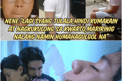 ‘PARANG HINDI NA KAYA’: Emosyonal na Pagsisiwalat ng Kapatid ni Mygz sa Kritikal na Kalagayan ng Bida, Nagpabigat sa Damdamin ng Bayan