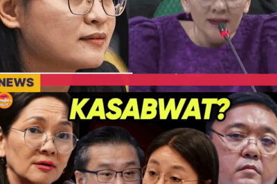 KASINUNGALINGAN NI ALICE GUO SA POGO TIES, BISTADO; BAHAY NI HARRY ROQUE, SINALAKAY DAHIL SA ‘BAMBAN’ SUSPECTS