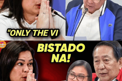 SAAN NAGWAKAS ANG LIHIM NA PERA? Imbestigasyon sa Confidential Funds, Naglantad ng Daan-daang ‘Pekeng Resibo’ na May Isang Sulat-kamay at Isang Kulay ng Tinta!