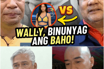 TINIK SA DIBDIB NG ISANG KAIBIGAN: WALLY BAYOLA, BINASAG ANG KATAHIMIKAN SA ‘KABIT ISSUE’ NI TITO SEN SOTTO; EMOSYONAL NA PANANAWAGAN SA KATOTOHANAN AT DIGNIDAD