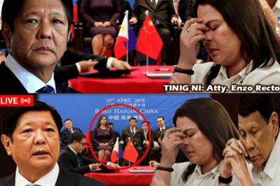 PAGSABOG NG ALYANSA: VP Sara Duterte, Siniwalat ang Lihim na Dahilan ng Pagkatanggal sa NSC ni PBBM—‘PRO-CHINA’ AT BANTA NG KUDETA, PINANGAMBAHAN!