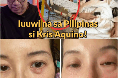 ANG PAG-UWI NG REYNA: SI KRIS AQUINO, HINAHAMON ANG KAMATAYAN SA SARILING BAYAN LABAN SA ANIM NA AWTOWALANG SAKIT—ANG EMOSYONAL NA DAHILAN SA LIKOD NG KANYANG PAGBABALIK.