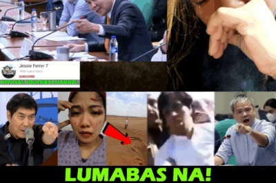 SUMABOG SA GALIT! Pagpatay sa OFW sa Kuwait, Nagdulot ng Matinding Komprontasyon Kina Sen. Tulfo at Villanueva sa Mga Opisyal ng Gobyerno