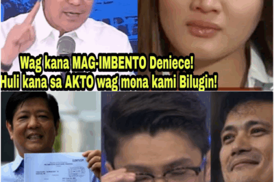 HUSTISYA VS. KASINUNGALINGAN: Raffy Tulfo, Nagbato ng Legal na Pasabog Laban kay Deniece Cornejo Matapos ang Paglaya ni Vhong Navarro