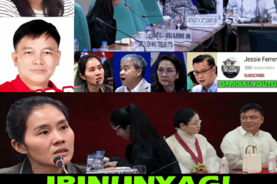 “BINGGO!” NI SENADOR VILLANUEVA SA SENADO: SINUNGALING NA KWENTO NI SHEILA GUO, BISTADO! MAYOR DONG CUGAY NG SUAL, PANGASINAN, INIUGNAY SA PAGTAKAS NI ALICE GUO