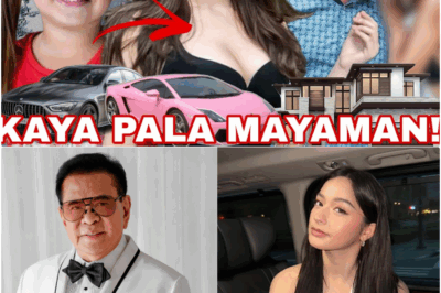 IBINUNYAG NA ANG MGA MATINDING LIHIM SA LIKOD NG TAGUMPAY NI JILLIAN WARD!