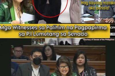 Lumalabas na Katotohanan: Mga Testigo sa Senado, Inilantad ang Kontrobersyal at Palihim na Mekanismo sa Likod ng People’s Initiative NH