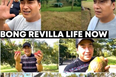 Higante sa Agrikultura at Pulitika: Ang Walang Katulad na Lawak at Ganda ng Pribadong Farm ni Senator Bong Revilla Jr. NH