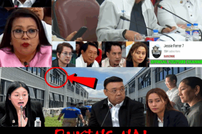 TENSYON SA KONGRESO: POGO Hub, ‘Paper Officer,’ at ang Mistersyong Ugnayan ni Harry Roque sa Likod ng Lucky South 99