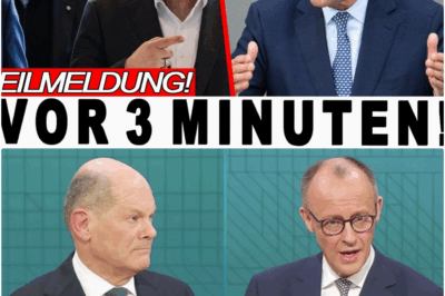 100 TAGE DES CHAOS: Merz’ Schock-Bilanz – Deutschland am Scheideweg zwischen Steuer-Tsunami und dem Aufstieg der AfD