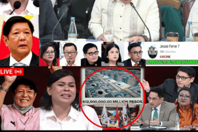 ANG LIHIM NI ‘MARY GRACE PIATTOS’: Nabisto ang Bilyong Confidential Funds ng OVP at DepEd Matapos Mabuking ang mga Resibong Gawa-gawa at may Pangalang Hindi Umiiral