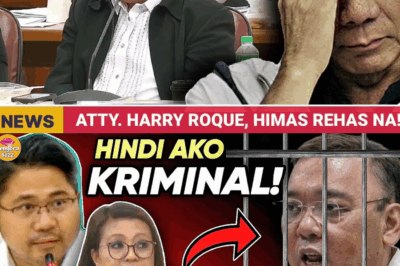 Dating Spokesperson, Tuluyan nang Ikinulong: Harry Roque, Sinentensiyahan ng 24 Oras na Detensyon Matapos Masabit sa Pagsisinungaling sa Kongreso