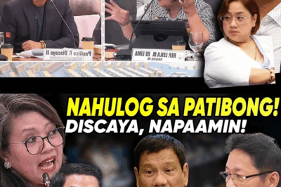 Testimoniya ni Discaya, Binalot ng Hiwaga at Pag-atras: Affidavit, Tinawag na ‘Scrap of Paper’ Dahil sa PTR Issue; Kumpletong Katotohanan, Ikinulong sa Pariralang ‘Ilan sa Kanila’