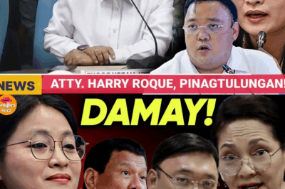 HAGIT NG KASINUNGALINGAN? Harry Roque, Nakulong sa ‘Ahente’ Defense Habang Pugante ng POGO, Tumambay sa Kanyang Property!