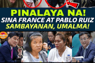WALANG PUKNAT NA PAGSISINUNGALING: Amo ni Elvie Vergara na si France Ruiz, IPINAKULONG ng SENADO Dahil sa Contempt at Pananamantala