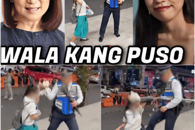 WALANG PATAWAD! Anak ni Henry Sy, Agad Nag-utos ng Immediate Blacklisting sa Security Guard ng SM na Nambastos at Umano’y Nanipa sa Batang Sampaguita Vendor