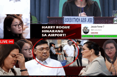 ‘Kriminal o Resource Person?’ Harry Roque, Hinarang sa Airport; Ultimatum Ibinigay sa BI Dahil sa Misteryo ng Paglalaho ng mga POGO Fugitive