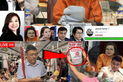 Pagdududa at POGO: Ang Sumirit na Yaman ni Harry Roque sa Likod ng Family Corporation, Binusisi ng Kongreso