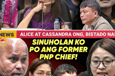 P95-M Luxury Home, Fugitive na Ninong, at ang Nakakabiglang Alegasyon ng POGO Money sa DATING PNP CHIEF: Hindi Na-move ang Senado sa Evasiveness nina Alice Guo!