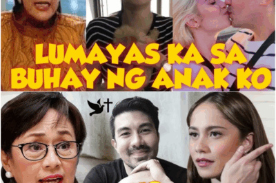 SUMABOG NA POOT NG ISANG INA: VILMA SANTOS, GALIT NA GALIT KAY JESSY MENDIOLA DAHIL SA DIUMANO’Y PAGTATAKSIL KAY LUIS MANZANO!