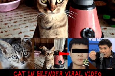KATARUNGAN PARA SA PUSA: Galit sa Ex-Girlfriend, Ibinunton ng Chinese Vlogger sa Kawawang Hayop; Ginamit ang Blender at Microwave!