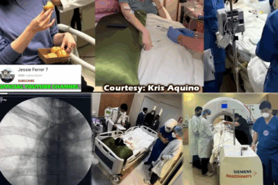 “NAPAKAIKSI NA LANG NG ORAS”: Ang Nakagigimbal na Babala ng Espesyalista kay Kris Aquino, at ang Matinding Sakripisyo ni Bimby