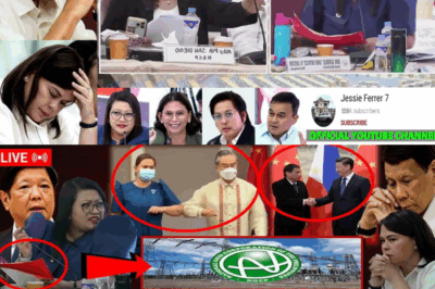 Tsina, May Kakayahang Patayin ang Ilaw ng Pilipinas? Mga Nakakabiglang Pagtuklas sa Kontrol ng NGCP, Binulgar sa Kongreso