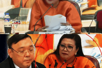 NAKALULULANG PAGBUSISI: MISTERYONG ₱67MILYON AT PAGLAHO NG PAGMAMAY-ARI—BUONG PAMILYA NI HARRY ROQUE, HINAMON NI CONG. LUISTRO SA MATINDING POGO HEARING