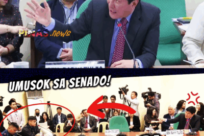 HINATULANG ‘SINUNGALING’ AT AGAD INI-CONTEMPT: Imbestigador sa Kaso ni Jemboy, Kinaladkad Palabas ng Senado Matapos Mabisto ng mga Sariling Kasamahan