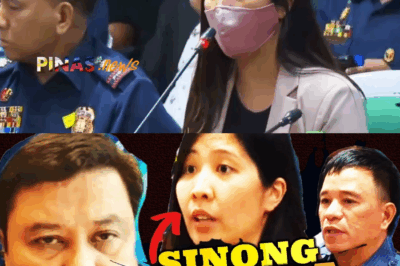 ANG APOY NG KATOTOHANAN: Abogada ni Alabata, GINISANG WALANG AWA ni Senador Jinggoy Estrada sa Degamo Hearing; Ang Pagtatago sa Hiwaga ng Mastermind