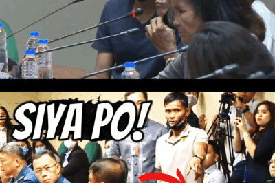 Pagbulag kay Manang Elvie, Ibinunyag sa Senado: Dating mga Katulong, Matapang na Nagturo sa Amo sa Walang-Awa at Araw-Araw na Panggugulpi at Pagpapahirap