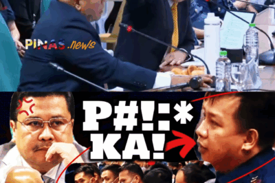 Sikretong Mansyon ng Isang Senador, Lihim na Tinustusan ng Pondo ng Bayan; Whistleblower Nagbunyag ng Detalye at Ebidensiya