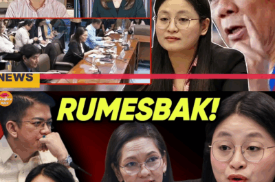 Bantang Kamatayan sa Senador at P6-Bilyong POGO: Huling Tiklop ni Alice Guo, Inilantad ang Buong Sistema ng Krimen sa Pilipinas!