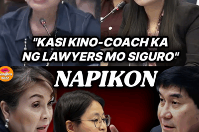 ANG P6.1 BILYON NA MISTERYO AT ANG HAMON SA PAGKATAO: SENADO GUMAGALIT, INIYAJAT SI MAYOR ALICE GUO NA UMUWI SA TSINA