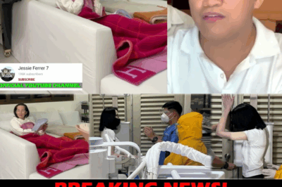 Sa Gitna ng Matinding Sakit: Ang Makabagbag-Damdaming Sandali kung Paano Ginawa ni Kris Aquino ang Kanyang Huling Video Call na Maging Huling Paalam ng Isang Pamilya