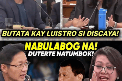 ANG BILYON-BILYONG KONTRAHAN! Kontratistang si Discaya, Nabisto ang mga Kontradiksyon; Mga Opisyal ng DPWH, Umamin sa Malawakang “Lending of Licenses” at Pagtataksil sa Pondo ng Pandemya