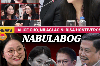 MAYOR ALICE GUO, SIKRETO NI JINGGOY AT ‘TONELADA’ NG EBIDENSYA: Isang POGO HUB, Isang Helikopter, at Ang Kwestiyonableng Identidad na Nagbabanta sa Pambansang Seguridad