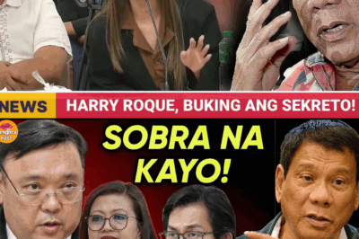 Sunud-Sunod na ‘Coincidence’ at Milyun-Milyong Tanong: Ang Ginawang Paglilitis ng Kongreso kay Harry Roque sa POGO Matrix