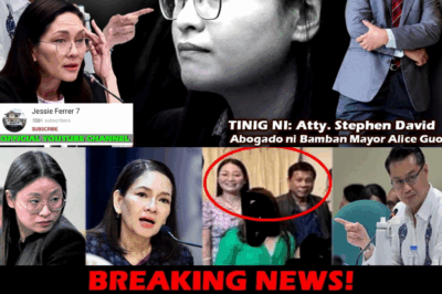 Pambansang Banta sa Gitna ng Milyong Dolyar na SALN Discrepancy: Naninindigan si Sen. Hontiveros na “Malabo” ang Pagkatao ni Mayor Alice Guo