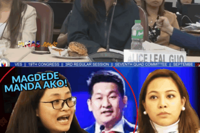 LUMANTAD NA KATOTOHANAN: Kasamang ‘Chinese Spy’ ni Alice Guo, NAGPAALALA sa gitna ng NAKAKAPANGILABOT na Ebidensya!