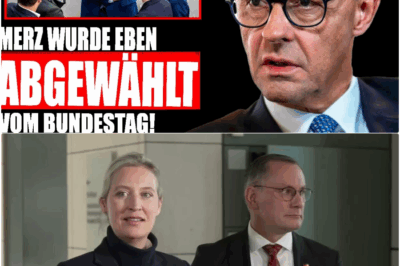 Historische Demütigung: Merz vom eigenen Kabinett abgewählt – CDU in Panik, AfD zur stärksten politischen Kraft