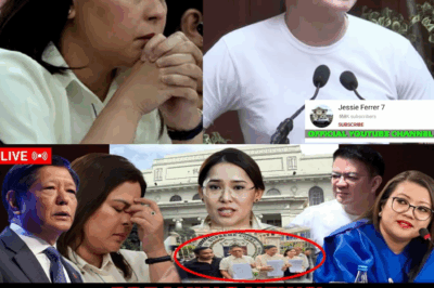 HINARANG NG VEEP! ANG SENADO, NAKAPIIT SA LEGALIDAD: Impeachment Trial ni VP Sara Duterte, Posibleng TUMA WID sa Susunod na Kongreso—Paliwanag ni SP Escudero