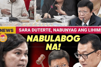 Ang Lihim na Banta sa Pondo ng Bayan: ₱125 Milyong Cash, Binitbit sa Innova, at ang Kakaibang Depinisyon ng ‘Confidence Building’ sa OVP